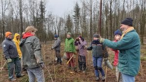Waldschutz - die Wälder in Deiner Heimat zu schützen