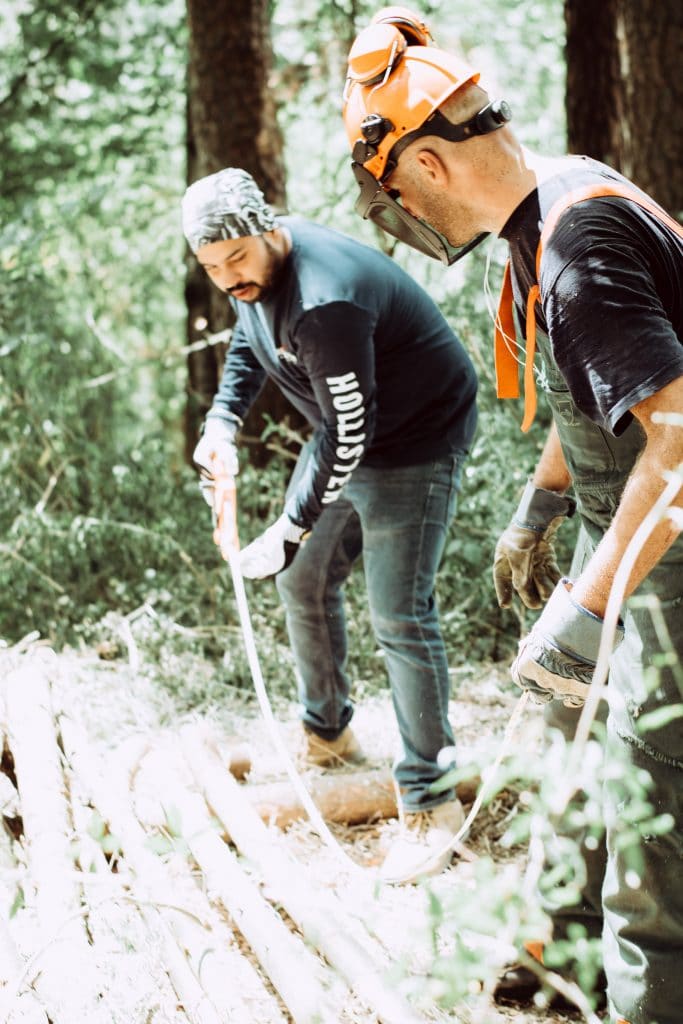 Waldbauer werden - Ghurpreet + Stefan