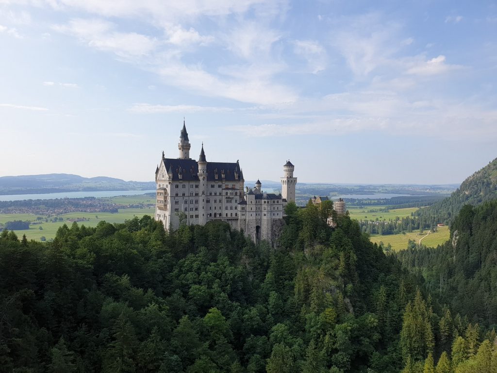 Fakten über den Wald in Bayern