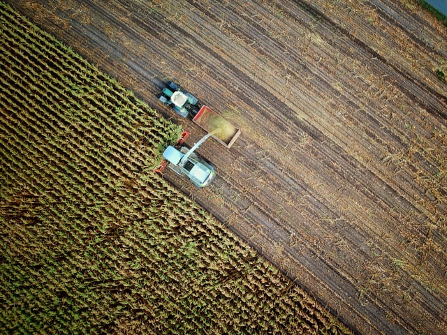 Was Agroforstwirtschaft nicht ist